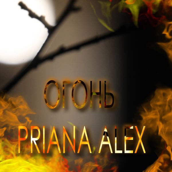 Альбом Огонь исполнителя Priana Аlex