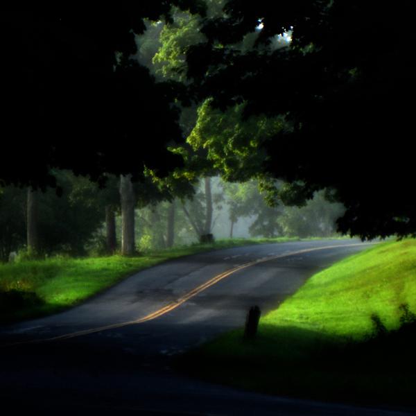 Альбом Treehouse исполнителя Alex G, Emily Yacina