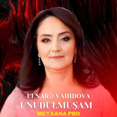 Meyxana Pro все песни в mp3