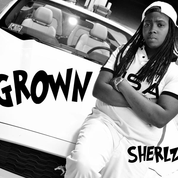 Sherlz - Working on It