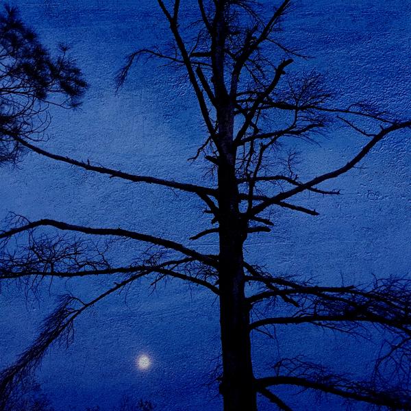 я заставлю тебя страдать - Слёзы