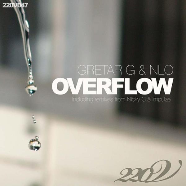 Альбом Overflow исполнителя Gretar g, NLO