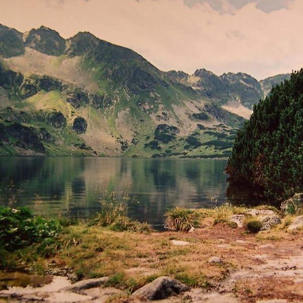 Sounds of Nature все песни в mp3