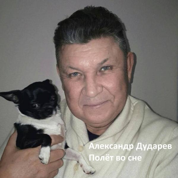 Александр Дударев - Хорошо