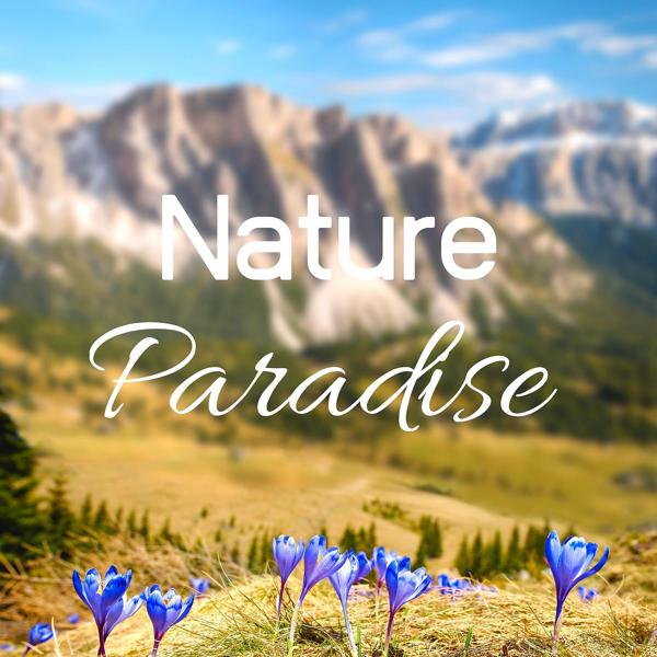 Альбом Nature Paradise исполнителя Various Artists