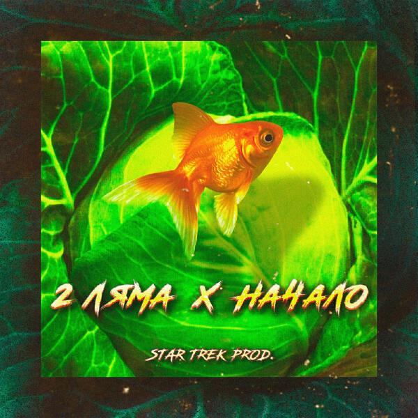 2 Ляма