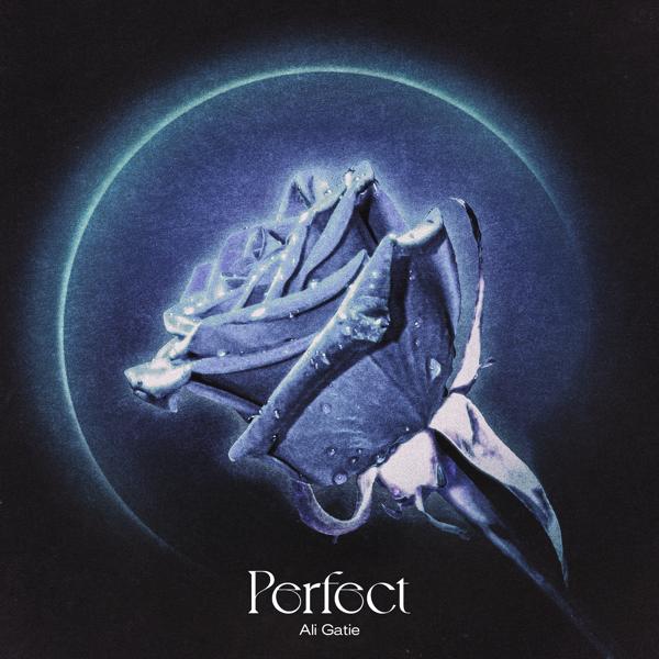 Ali Gatie - Perfect