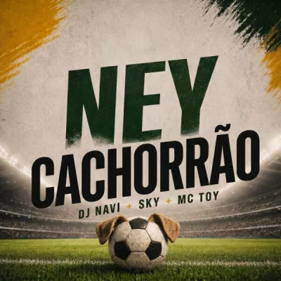dj navi oficial