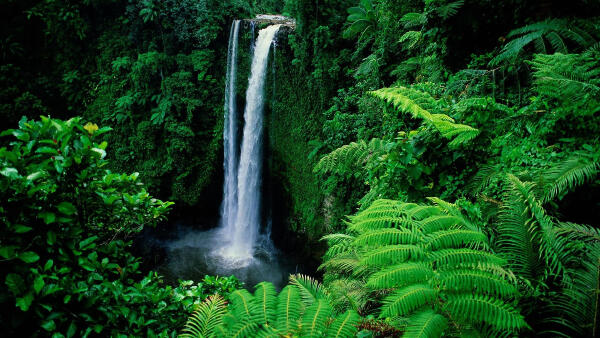 Sounds of Nature Relaxation