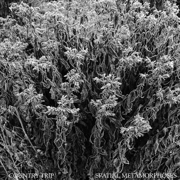 Spatial Metamorphoses