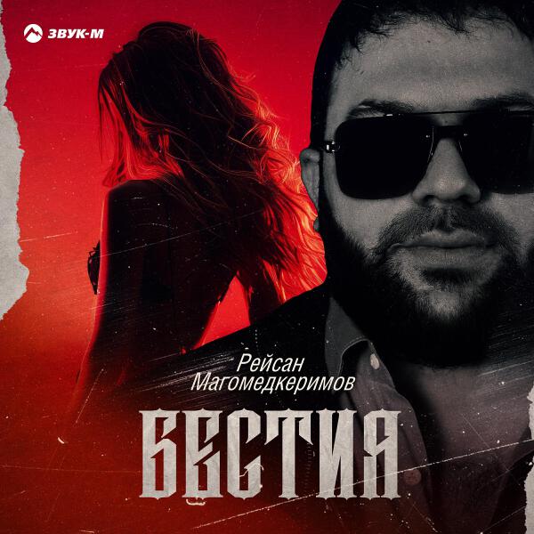 Рейсан Магомедкеримов