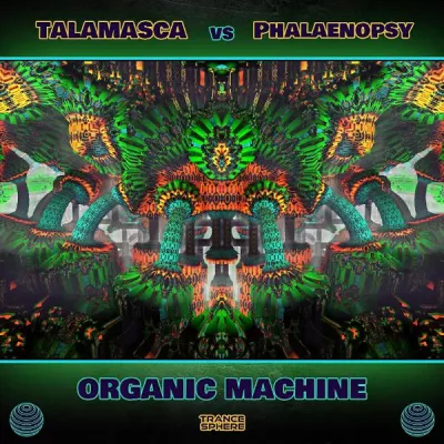 Phalaenopsy