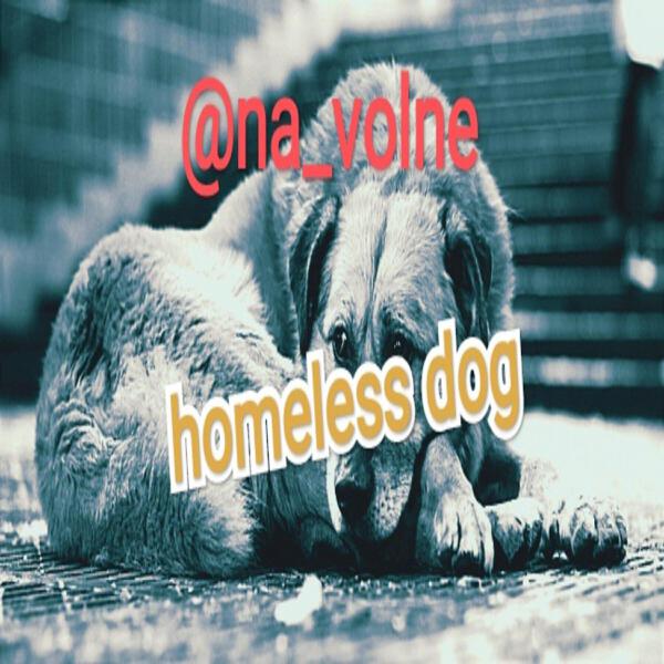 @Na_volne все песни в mp3