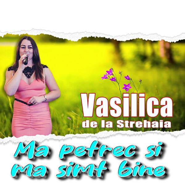 VASILICA DE LA STREHAIA все песни в mp3