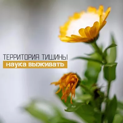Территория Тишины все песни в mp3