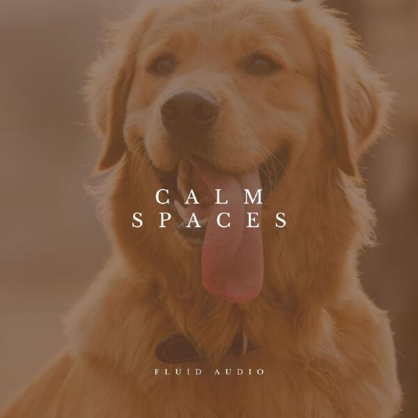 Dog Calming Music