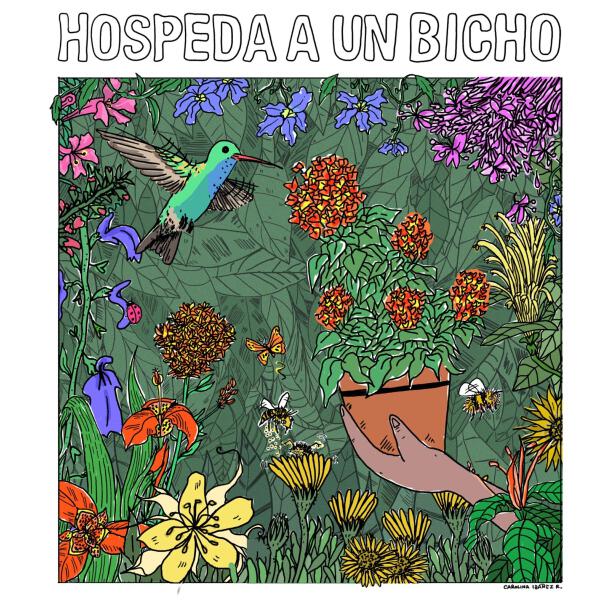 Ruth de las Plantas все песни в mp3