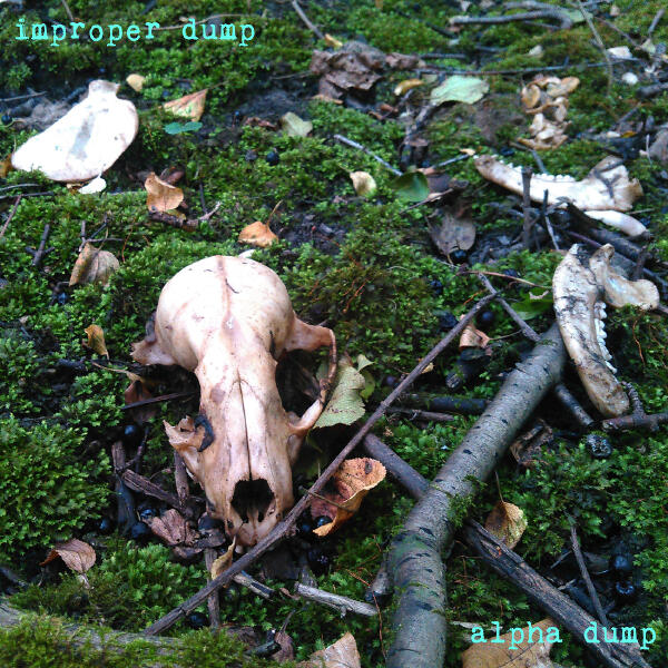 Improper Dump все песни в mp3
