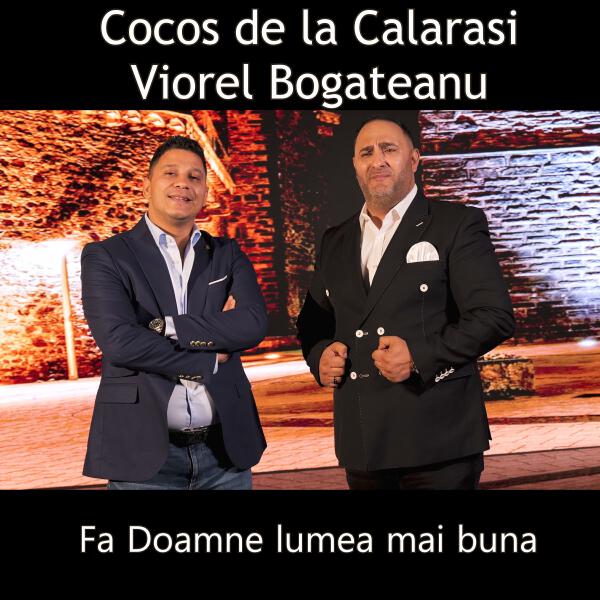 Viorel Bogateanu