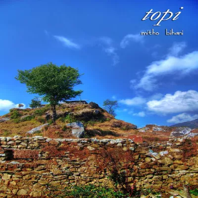 Topi
