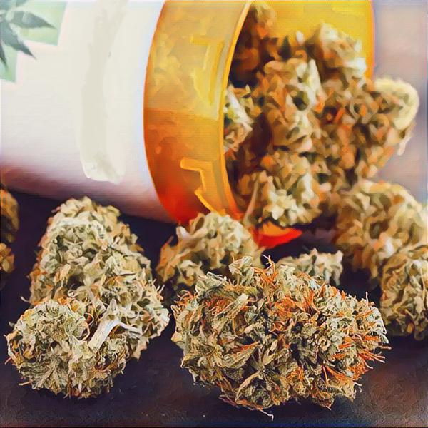 LittleYoungStar - Травка