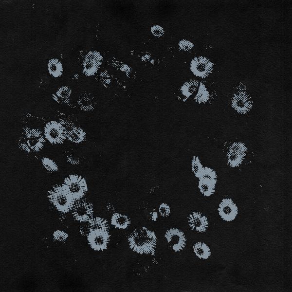 Bird Bone все песни в mp3