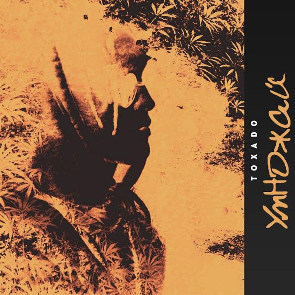 Toxado - В моём доме