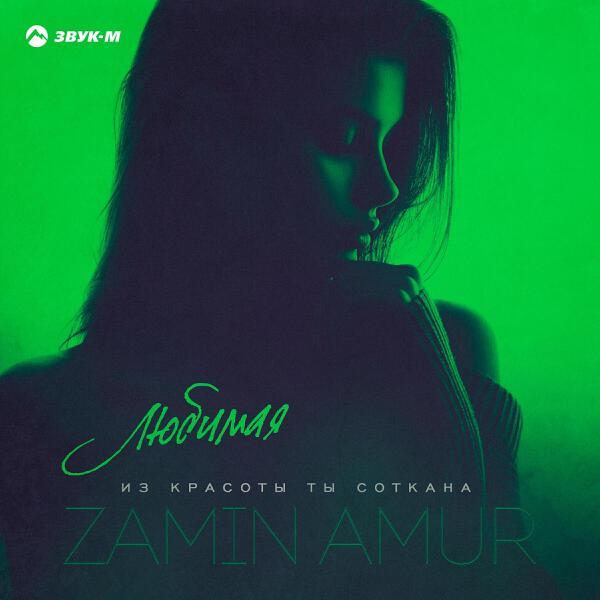 Zamin Amur все песни в mp3