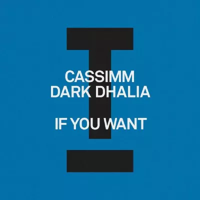 Dark Dhalia