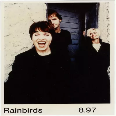 Rainbirds