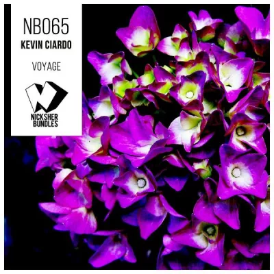 Kevin Ciardo все песни в mp3