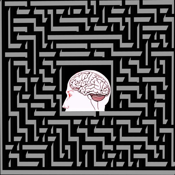 Альбом В лабиринте своего разума исполнителя Путник