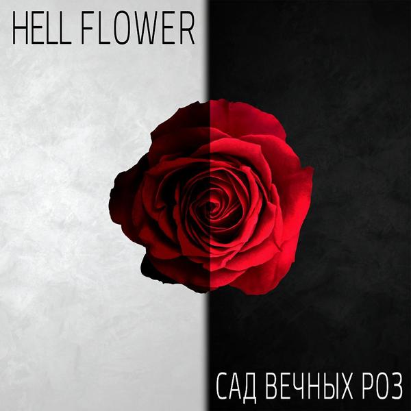 Сад вечных роз