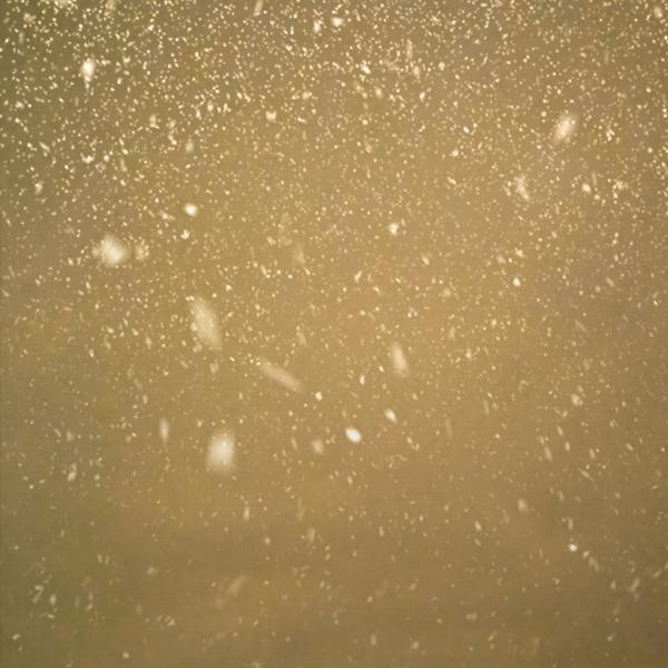 Альбом и ты больше, чем жизни, захочешь смерти. исполнителя Флувоксамин