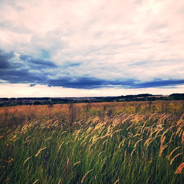 Альбом Я боюсь быть один исполнителя always near