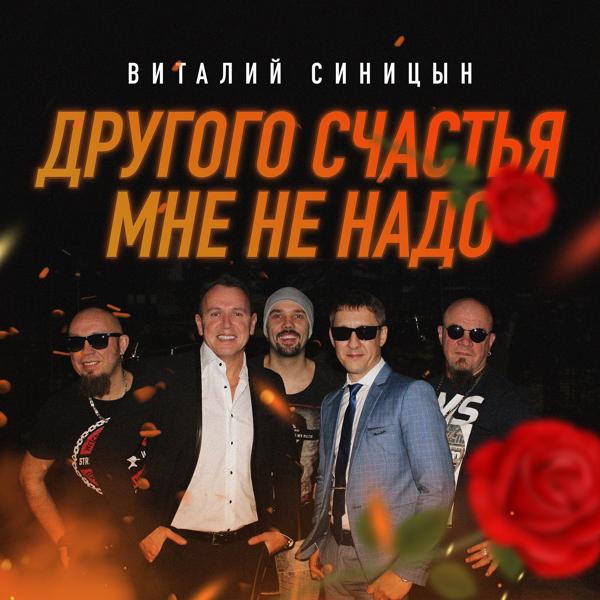 Виталий Синицын - Другого счастья мне не надо