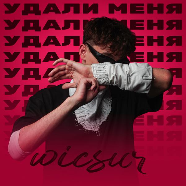 Wicsur - Удали меня