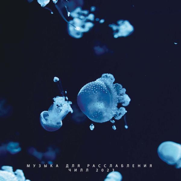 Альбом Музыка Для Расслабления. Чилл 2023 исполнителя Various Artists