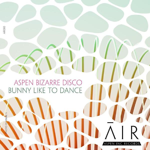 Aspen Bizarre Disco все песни в mp3