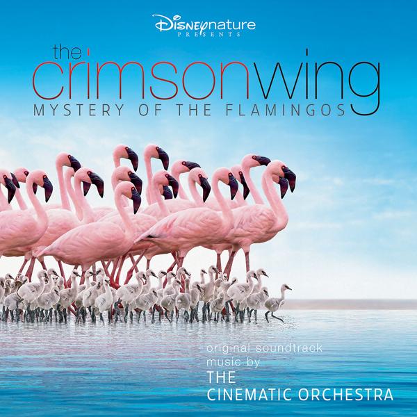 Альбом The Crimson Wing: Mystery of the Flamingos исполнителя The Cinematic Orchestra, London Metropolitan Orchestra