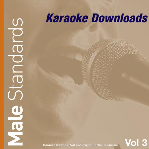 Альбом Karaoke Downloads - Male Standards Vol.3 исполнителя Ameritz