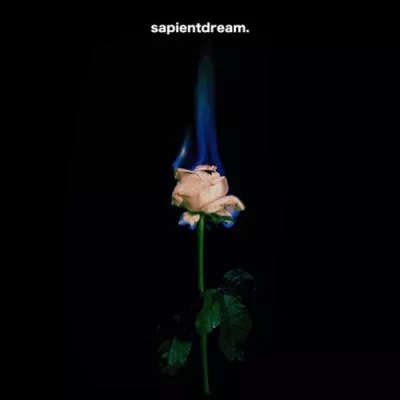 sapientdream