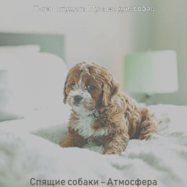 Легко слушать Музыка для собак - Видения (Выгул собак)