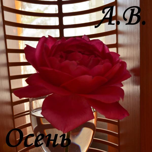 А.В. - Осень