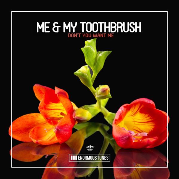 My Toothbrush все песни в mp3