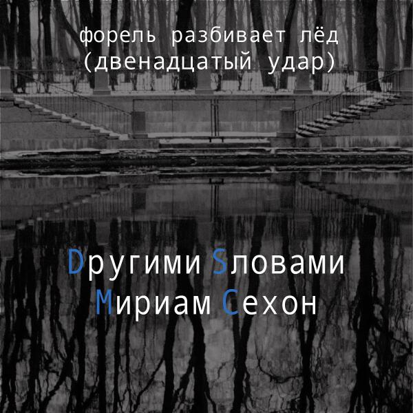 Мириам Сехон
