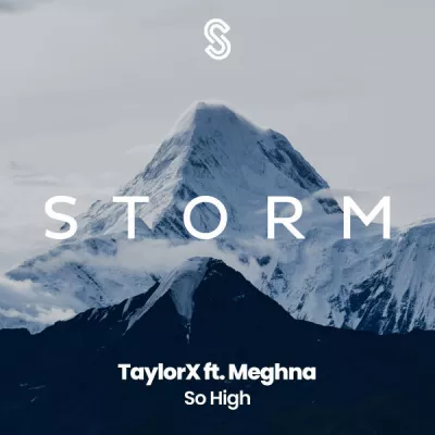 TaylorX