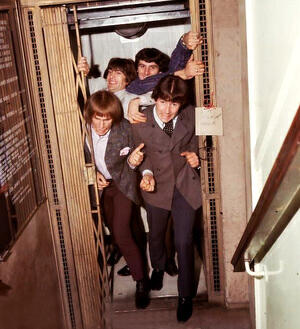 The Troggs все песни в mp3