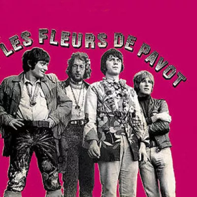 Les Fleurs de Pavot