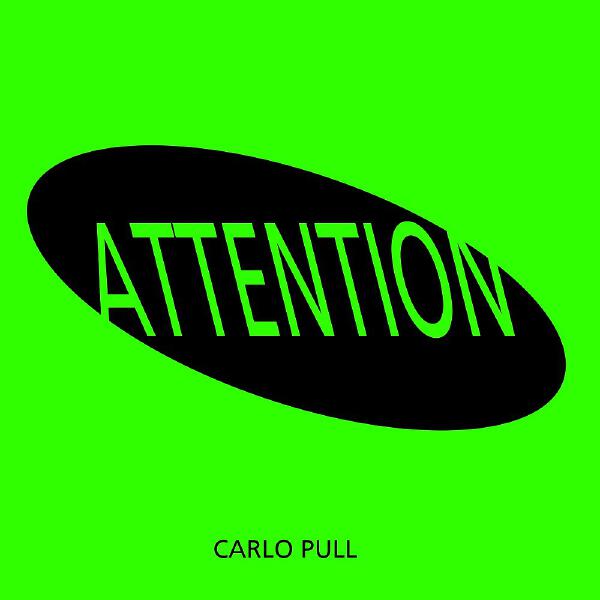 Carlo Pull все песни в mp3